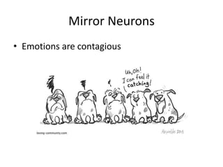 Mirror Neurons
• Emotions are contagious
 