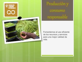 Producción y
consumo
responsable
Fomentemos el uso eficiente
de los recursos y servicios
para una mejor calidad de
vida.
 