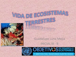 Guadalupe Luna Mejía
INICIAL III - B
 