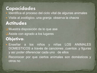  Identifica el proceso del ciclo vital de algunas animales
 Visita al zoológico. una granja observa la chacra
Actitudes
 Muestra disposición de lo que ase
 Asiste con agrado a los lugares
Objetivo:
 Enseñar a los niños y niñas LOS ANIMALES
DOMESTICOS a través de canciones ,cuentos ,y figuras
y así poder diferenciar cada uno de ellos
• Reconocer por que ciertos animales son domésticos y
otros no
 