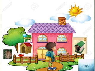 animales domésticos 