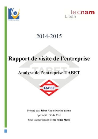 Rapport de visite de l'entreprise  PDF