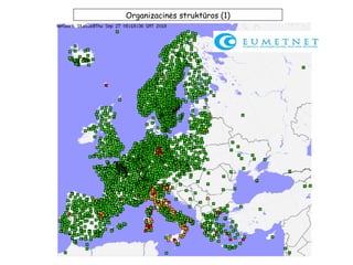 Organizacinės struktūros (1)
 