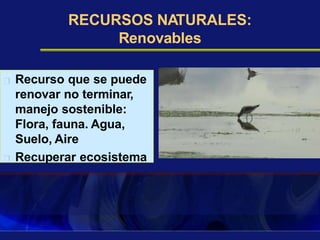 RECURSOS NATURALES:
Renovables
Recurso que se puede
renovar no terminar,
manejo sostenible:
Flora, fauna. Agua,
Suelo, Aire
Recuperar ecosistema
 