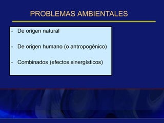PROBLEMAS AMBIENTALES
• De origen natural
• De origen humano (o antropogénico)
• Combinados (efectos sinergísticos)
 