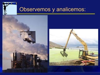 Observemos y analicemos:
 
