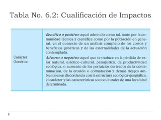 Tabla No. 6.2: Cualificación de Impactos
 