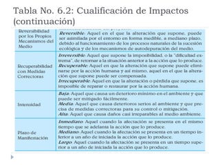 Tabla No. 6.2: Cualificación de Impactos
(continuación)
 