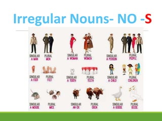 Irregular Nouns- NO -S
 