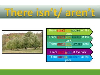 There aren’t any apples on the
trees
There aren’t any people at the
park.
There aren’t any flowers in the
grass.
There isn’t a car at the park..
There isn’t an elephant at the
park..
 