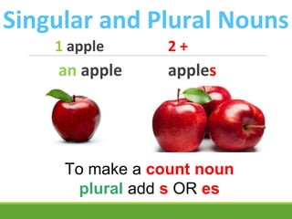 Singular and Plural Nouns
1 apple 2 +
an apple apples
To make a count noun
plural add s OR es
 