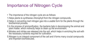 Importance of Nitrogen Cycle
• The importance of the nitrogen cycle are as follows:
1.Helps plants to synthesise chlorophyll from the nitrogen compounds.
2.Helps in converting inert nitrogen gas into a usable form for the plants through the
biochemical process.
3.In the process of ammonification, the bacteria help in decomposing the animal and
plant matter, which indirectly helps to clean up the environment.
4.Nitrates and nitrites are released into the soil, which helps in enriching the soil with
the necessary nutrients required for cultivation.
5.Nitrogen is an integral component of the cell and it forms many crucial compounds
and important biomolecules.
 