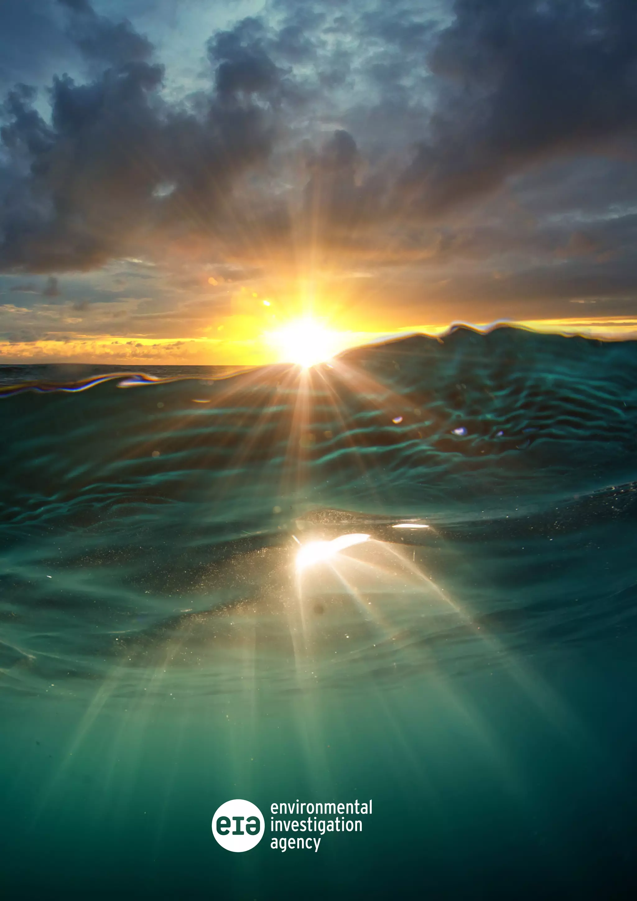 Eia Connecting The Dots on Plastics