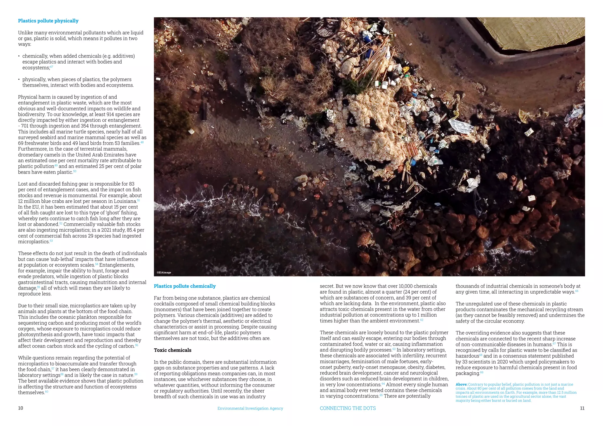 CONNECTING THE DOTS	 11
10	 Environmental Investigation Agency
secret. But we now know that over 10,000 chemicals
are found in plastic, almost a quarter (24 per cent) of
which are substances of concern, and 39 per cent of
which are lacking data. In the environment, plastic also
attracts toxic chemicals present in the water from other
industrial pollution at concentrations up to 1 million
times higher than the ambient environment.62
These chemicals are loosely bound to the plastic polymer
itself and can easily escape, entering our bodies through
contaminated food, water or air, causing inflammation
and disrupting bodily processes.63
In laboratory settings,
these chemicals are associated with infertility, recurrent
miscarriages, feminisation of male foetuses, early-
onset puberty, early-onset menopause, obesity, diabetes,
reduced brain development, cancer and neurological
disorders such as reduced brain development in children,
in very low concentrations.64
Almost every single human
and animal body ever tested contains these chemicals
in varying concentrations.65
There are potentially
thousands of industrial chemicals in someone’s body at
any given time, all interacting in unpredictable ways.66
The unregulated use of these chemicals in plastic
products contaminates the mechanical recycling stream
(as they cannot be feasibly removed) and undermines the
safety of the circular economy.
The overriding evidence also suggests that these
chemicals are connected to the recent sharp increase
of non-communicable diseases in humans.67
This is
recognised by calls for plastic waste to be classified as
hazardous68
and in a consensus statement published
by 33 scientists in 2020 which urged policymakers to
reduce exposure to harmful chemicals present in food
packaging.69
Plastics pollute physically
Unlike many environmental pollutants which are liquid
or gas, plastic is solid, which means it pollutes in two
ways:
•	 chemically, when added chemicals (e.g. additives)
escape plastics and interact with bodies and
ecosystems;47
•	 physically, when pieces of plastics, the polymers
themselves, interact with bodies and ecosystems.
Physical harm is caused by ingestion of and
entanglement in plastic waste, which are the most
obvious and well-documented impacts on wildlife and
biodiversity. To our knowledge, at least 914 species are
directly impacted by either ingestion or entanglement
- 701 through ingestion and 354 through entanglement.
This includes all marine turtle species, nearly half of all
surveyed seabird and marine mammal species as well as
69 freshwater birds and 49 land birds from 53 families.48
Furthermore, in the case of terrestrial mammals,
dromedary camels in the United Arab Emirates have
an estimated one per cent mortality rate attributable to
plastic pollution49
and an estimated 25 per cent of polar
bears have eaten plastic.50
Lost and discarded fishing gear is responsible for 83
per cent of entanglement cases, and the impact on fish
stocks and revenue is monumental. For example, about
12 million blue crabs are lost per season in Louisiana.51
In the EU, it has been estimated that about 15 per cent
of all fish caught are lost to this type of ‘ghost’ fishing,
whereby nets continue to catch fish long after they are
lost or abandoned.52
Commercially valuable fish stocks
are also ingesting microplastics; in a 2021 study, 85.4 per
cent of commercial fish across 29 species had ingested
microplastics.53
These effects do not just result in the death of individuals
but can cause ‘sub-lethal’ impacts that have influence
at population or ecosystem scales.54
Entanglements,
for example, impair the ability to hunt, forage and
evade predators, while ingestion of plastic blocks
gastrointestinal tracts, causing malnutrition and internal
damage,55
all of which will mean they are likely to
reproduce less.
Due to their small size, microplastics are taken up by
animals and plants at the bottom of the food chain.
This includes the oceanic plankton responsible for
sequestering carbon and producing most of the world’s
oxygen, whose exposure to microplastics could reduce
photosynthesis and growth, have toxic impacts that
affect their development and reproduction and thereby
affect ocean carbon stock and the cycling of carbon.56
While questions remain regarding the potential of
microplastics to bioaccumulate and transfer through
the food chain,57
it has been clearly demonstrated in
laboratory settings58
and is likely the case in nature.59
The best available evidence shows that plastic pollution
is affecting the structure and function of ecosystems
themselves.60
Plastics pollute chemically
Far from being one substance, plastics are chemical
cocktails composed of small chemical building blocks
(monomers) that have been joined together to create
polymers. Various chemicals (additives) are added to
change the polymer’s thermal, aesthetic or electrical
characteristics or assist in processing. Despite causing
significant harm at end-of-life, plastic polymers
themselves are not toxic, but the additives often are.
Toxic chemicals
In the public domain, there are substantial information
gaps on substance properties and use patterns. A lack
of reporting obligations mean companies can, in most
instances, use whichever substances they choose, in
whatever quantities, without informing the consumer
or regulatory authorities. Until recently, the sheer
breadth of such chemicals in use was an industry
Above: Contrary to popular belief, plastic pollution is not just a marine
crisis. About 80 per cent of all pollution comes from the land and
impacts all environments on Earth. For example, more than 12.5 million
tonnes of plastic are used in the agricultural sector alone, the vast
majority being either burnt or buried on land.
©EIAimage
 