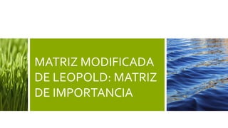 MATRIZ MODIFICADA
DE LEOPOLD: MATRIZ
DE IMPORTANCIA
 