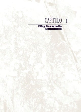ICAPÍTULO
EIA y Desarrollo
Sostenible
 