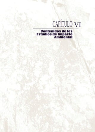 Contenidos de los
Estudios de Impacto
Ambiental
VICAPÍTULO
 