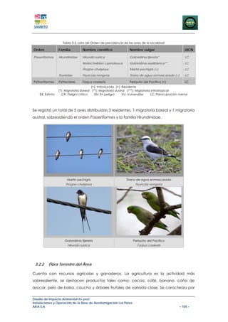 Tabla 3-2. Lista de Orden de prevalencia de las aves de la localidad

Orden             Familia         Nombre científico               Nombre vulgar                        UICN

Passeriformes     Hirundinidae    Hirundo rustica                 Golondrina tijereta*                 LC
                                  Notiochelidon cyanoleuca        Golondrina azuliblanca**             LC
                                  Progne chalybea                 Martín pechigris (<)                 LC
                  Tiranidae       Fluvicola nengeta               Tirano de agua enmascarado (<)       LC

Psittaciformes    Psittacidae     Forpus coelestis                Periquito del Pacífico (<)           LC
                                         (>): Introducido (<): Residente
                  (*): Migratoria boreal (**): Migratoria austral (***): Migratoria intratropical
    EX: Extinto     CR: Peligro crítico    EN: En peligro      VU: Vulnerable      LC: Preocupación menor




Se registró un total de 5 aves distribuidas 3 residentes, 1 migratoria boreal y 1 migratoria
austral, sobresaliendo el orden Passeriformes y la familia Hirundinidae.




                       Martín pechigris                        Tirano de agua enmascarado
                      Progne chalybea                                 Fluvicola nengeta




                      Golondrina tijereta                           Periquito del Pacífico
                        Hirundo rustica                                Forpus coelestis




 3.2.2    Flora Terrestre del Área

Cuenta con recursos agrícolas y ganaderos. La agricultura es la actividad más
sobresaliente, se destacan productos tales como: cacao, café, banano, caña de
azúcar, pelo de balsa, caucho y árboles frutales de variada clase. Se caracteriza por

Estudio de Impacto Ambiental Ex-post
Instalaciones y Operación de la Base de Aerofumigación Los Pérez
AIFA S.A                                                                                           – 105 –
 