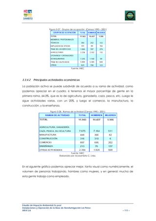 Figura 3-27. Grupos de ocupación (Censos 1990 – 2001)




                                             Fuente: INEC




3.3.4.2   Principales actividades económicas

La población activa se puede subdividir de acuerdo a su rama de actividad, como
podemos apreciar en el cuadro, 6 tenemos el mayor porcentaje de gente en la
primera rama, 64.3%, que es la de agricultura, ganadería, caza, pesca, etc. Luego le
sigue actividades varias, con un 20%, y luego el comercio, la manufactura, la
construcción, y la enseñanza.

                          Figura 3-28. Ramas de actividad (Censos 1990 – 2001)




                                            Fuente: INEC
                                  Elaborado por: Ecosambito C. Ltda.




En el siguiente gráfico podemos apreciar mejor, tanto visual como numéricamente, el
volumen de personas trabajando, hombres como mujeres, y en general; mucha de
esta gente trabaja como empleado.




Estudio de Impacto Ambiental Ex-post
Instalaciones y Operación de la Base de Aerofumigación Los Pérez
AIFA S.A                                                                         – 111 –
 