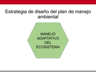 Estrategia de diseño del plan de manejo
ambiental
MANEJO
ADAPTATIVO
DEL
ECOSISTEMA
 