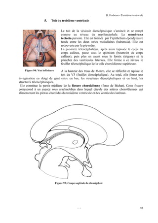 D. Hasboun - Troisième ventricule

5.

Toit du troisième ventricule
Le toit de la vésicule diencéphalique s’amincit et se rompt
comme au niveau du myélencéphale. La membrana
tectoria persiste. Elle est formée par l’épithélium épendymaire
tendu entre les deux stries médullaires (habenula). Elle est
recouverte par la pie-mère.
La pie-mère télencéphalique, après avoir tapissée le corps du
corps calleux, passe sous le splenium (bourrelet du corps
calleux), puis plus en avant sous le fornix (trigone) et le
plancher des ventricules latéraux. Elle forme à ce niveau le
feuillet télencéphalique de la toile choroïdienne supérieure.

Figure 94: Vue inférieure

A la hauteur des trous de Monro, elle se réfléchit et tapisse le
toit du V3 (feuillet diencéphalique). Au total, elle forme une
invagination en doigt de gant entre en bas, les structures diencéphaliques et en haut, les
structures télencéphaliques.
Elle constitue la partie médiane de la fissure choroïdienne (fente de Bichat). Cette fissure
correspond à un espace sous arachnoïdien dans lequel circule des artères choroïdiennes qui
alimenteront les plexus choroïdes du troisième ventricule et des ventricules latéraux.

Figure 95: Coupe sagittale du diencéphale

- -

83

 
