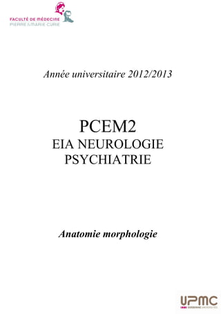 Année universitaire 2012/2013

PCEM2
EIA NEUROLOGIE
PSYCHIATRIE

Anatomie morphologie

 