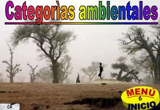 6
     j.pomachagua p.   145
CA
 