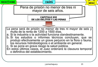 INICIO   HOME                    CMARN                            MENÚ

                Pena de prisión no menor de tres ni
                       mayor de seis años.
                              CAPITULO XXI
                       DE LOS DELITOS Y LAS PENAS



     La pena será de prisión no menor de tres ni mayor de seis y
        multa de la renta de 1200 a 1500 días.
     a. Si la industria o la actividad funciona clandestinamente.
     b. Si los estudios o informes técnicos concluyen, que se
        produjo efectivamente un grave perjuicio en la flora o fauna,
        los recursos hidrobiológicos o el ambiente en general.
     c. Si se pone en grave riesgo la salud pública.
     En estos últimos casos, el Juez ordenará la clausura temporal
        o definitiva del establecimiento.



                                 j.pomachagua p.             23
 