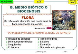 INICIO    HOME                          EIA-d                          MENÚ

             B. MEDIO BIÓTICO O
                 BIOCENOSIS
                        FLORA
    Se refiere a la alteración que pueda sufrir la
            flora circundante al proyecto.
                                      “umancasha”

          VARIABLES PARA DETERMINAR EL NIVEL DE IMPACTO

         o Riqueza de especies            o Tipos biológicos
         o Distribución restringida       o Estratos
         o Singularidad                   o Extensión
         o Cobertura                      o Grado de antropización
                                       j.pomachagua p.           307
 