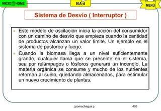 INICIO   HOME                         EIA-d                          MENÚ

                   Sistema de Desvío ( Interruptor )

            Este modelo de oscilación inicia la acción del consumidor
             con un camino de desvío que empieza cuando la cantidad
             de productos alcanzan un valor límite. Un ejemplo es el
             sistema de pastoreo y fuego.
            Cuando la biomasa llega a un nivel suficientemente
             grande, cualquier llama que se presente en el sistema,
             sea por relámpagos o fósforos generará un incendio. La
             materia orgánica se consume y mucho de los nutrientes
             retornan al suelo, quedando almacenados, para estimular
             un nuevo crecimiento de plantas.




                                     j.pomachagua p.           403
 