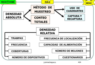 INICIO   HOME                       EIA-d                         MENÚ

                         MÉTODO DE                    USO DE
                         MUESTREO                   CUADRANTES
    DENSIDAD
                                                     CAPTURA Y
    ABSOLUTA             CONTEO                      RECAPTURA
                         TOTALES

                             DENSIDAD
                             RELATIVA
          TRAMPAS               FRECUENCA DE LOCALIZACIÓN

          FRECUENCIA            CAPACIDAD DE ALIMENTACIÓN

          COBERTURAS                          NÚMERO DE MOJONES

           NÚMERO DE DISPOSITIVOS                 CUESTIONARIOS
                                j.pomachagua p.             424
 
