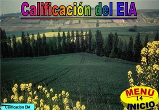 14
                   j.pomachagua p.   543
Calificación EIA
 