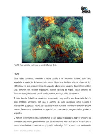 Foto 18: Flora submarina encontrada na área de influência direta.



Fauna

Essa região contempla, sobretudo, a fauna costeira e os ambientes praianos, bem como
associada à vegetação de berma e das dunas. Destaca-se também a fauna urbana do tipo
edificada nessa área, em decorrência da ocupação urbana, onde boa parte dos espécimes obtém
seus alimentos nos diversos logradouros públicos (praças) da região. Nesse contexto, se
destacam as seguintes aves: pardal, pombo, rolinhas, sanhaço, sibite, dentre outras.

A fauna lacustre / ribeirinha encontra-se severamente comprometida, em decorrência da forte
ação antrópica. Verifica-se, com isso, o aumento da fauna oportunista como roedores e
invertebrados que procura nos restos e despejos de lixos humanos sua fonte de alimento; que, por
sua vez, favorecem a existência de seus predadores como: corujas, rasga-mortalhas, gaviões e
serpentes.

O homem é dominante nestes ecossistemas e suas ações degradadoras sobre o ambiente se
processam diretamente, principalmente, pelo desmatamento e pela caça/captura. A caça/captura,
outrora uma atividade comum entre a população mais antiga do local, embora de subsistência,

EIA/RIMA – RECUPERAÇÃO DA PRAIA DE IRACEMA                                                   164
 