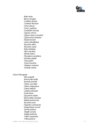 Bulla striata
                  Bursa corrugata
                  Cerithium atratum
                  Cerithium litteratum
                  Conus daucus
                  Conus jaspideus
                  Crucibulum auricula
                  Cypraea cinerea
                  Cypraea spurca acicularis
                  Cypraecassis testiculus
                  Hastula hastata
                  Latirus infundibulum
                  Nassarius albus
                  Nassarius nanus
                  Natica floridana
                  Oliva reticularis
                  Olivella mutica
                  Pleuroploca aurantiaca
                  Strombus goliath
                  Tonna galea
                  Tonna maculosa
                  Thriphora melanura
                  Turritella exoleta


Classe Pelecypoda
              Abra aequalis
              Americardia media
              Arcinella arcinella
              Chione cancellata
              Chione intapurpurea
              Chione latilirata
              Codakia orbiculata
              Ervilia nitens
              Glycymeris undata
              Macrocallista maculata
              Mulinia portoricensis
              Nuculana acuta
              Papyridea semisulcata
              Sanguinolaria cruenta
              Semele proficua
              Strigilla carnaria
              Strigilla pisiformis
              Tellina aequistriata
              Tellina punicea
EIA/RIMA – RECUPERAÇÃO DA PRAIA DE IRACEMA    171
 