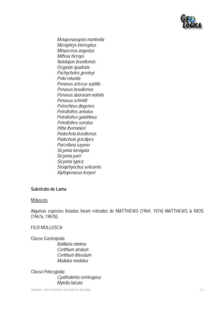 Metapenaeopsis martinella
                  Microphrys interruptus
                  Minyocerus angustus
                  Mithrax forceps
                  Notolopas brasiliensis
                  Ocypode quadrata
                  Pachycheles greeleyi
                  Pelia rotunda
                  Penaeus aztecus subtilis
                  Penaeus brasiliensis
                  Penaeus duorarum notialis
                  Penaeus schmitti
                  Petrochirus diogenes
                  Petrolisthes armatus
                  Petrolisthes galathinus
                  Petrolisthes serratus
                  Pitho lherminieri
                  Podochela brasiliensis
                  Podochela gracilipes
                  Porcellana sayana
                  Sicyonia laevigata
                  Sicyonia parri
                  Sicyonia typica
                  Stenprhynchus seticornis
                  Xiphopenaeus kroyeri


Substrato de Lama

Moluscos

Algumas espécies listadas foram retiradas de MATTHEWS (1969, 1974) MATTHEWS & RIOS
(1967a, 1967b).

FILO MOLLUSCA

Classe Gastropoda
              Batillaria minima
              Cerithium atratum
              Cerithium litteratum
              Modulus modulus

Classe Pelecypoda
              Cyathodonta semirugosa
              Mytella falcata
EIA/RIMA – RECUPERAÇÃO DA PRAIA DE IRACEMA                                      173
 