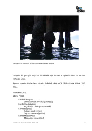 Foto 19: Fauna submarina encontrada na área de influência direta.




Listagem das principais espécies de cordados que habitam a região da Praia de Iracema,
Fortaleza, Ceará.

Algumas espécies listadas foram retiradas de PAIVA & HOLANDA (1962) e PAIVA & LIMA (1963,
1966).

FILO CHORDATA
Classe Pisces
         Família Carangidae
                Chloroscombrus chrysurus (palombeta)
         Família Chaetodontidae
                Angelichthys ciliaris (parum-amarelo)
         Família Lutjanidae
                Lutjanus apodus (ariacó)
                Ocyurus chrysurus (guaiúba)
         Família Malacanthidae
                Malacanthus plumieri (pirá)

EIA/RIMA – RECUPERAÇÃO DA PRAIA DE IRACEMA                                            177
 