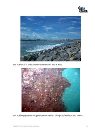 Foto 25: Extensão da Zona Submersa na área de influência direta do projeto.




Foto 26: Exposição do arenito ferruginoso da Formação Barreira com espécies coralíneas na Zona Submersa.




EIA/RIMA – RECUPERAÇÃO DA PRAIA DE IRACEMA                                                                 226
 