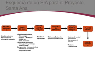 EIA procedures | PPTX