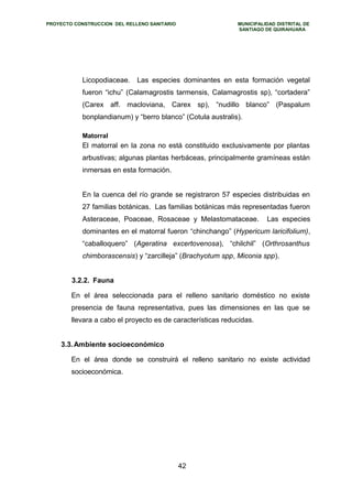 PROYECTO CONSTRUCCION DEL RELLENO SANITARIO MUNICIPALIDAD DISTRITAL DE 
SANTIAGO DE QUIRAHUARA 
Licopodiaceae. Las especies dominantes en esta formación vegetal 
fueron “ichu” (Calamagrostis tarmensis, Calamagrostis sp), “cortadera” 
(Carex aff. macloviana, Carex sp), “nudillo blanco” (Paspalum 
bonplandianum) y “berro blanco” (Cotula australis). 
Matorral 
El matorral en la zona no está constituido exclusivamente por plantas 
arbustivas; algunas plantas herbáceas, principalmente gramíneas están 
inmersas en esta formación. 
En la cuenca del río grande se registraron 57 especies distribuidas en 
27 familias botánicas. Las familias botánicas más representadas fueron 
Asteraceae, Poaceae, Rosaceae y Melastomataceae. Las especies 
dominantes en el matorral fueron “chinchango” (Hypericum laricifolium), 
“caballoquero” (Ageratina excertovenosa), “chilchil” (Orthrosanthus 
chimborascensis) y “zarcilleja” (Brachyotum spp, Miconia spp). 
3.2.2. Fauna 
En el área seleccionada para el relleno sanitario doméstico no existe 
presencia de fauna representativa, pues las dimensiones en las que se 
llevara a cabo el proyecto es de características reducidas. 
3.3.Ambiente socioeconómico 
En el área donde se construirá el relleno sanitario no existe actividad 
socioeconómica. 
42 
 