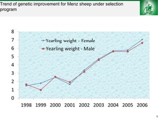 Sheep and goat improvement programs: Ethiopian experience 