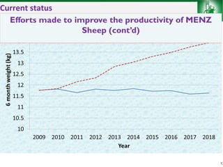 Sheep and goat improvement programs: Ethiopian experience 