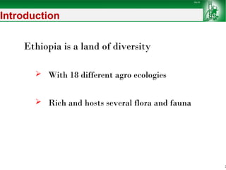 Sheep and goat improvement programs: Ethiopian experience 