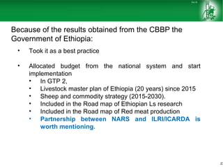 Sheep and goat improvement programs: Ethiopian experience 