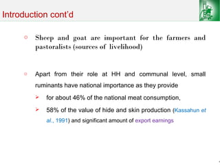 Sheep and goat improvement programs: Ethiopian experience 