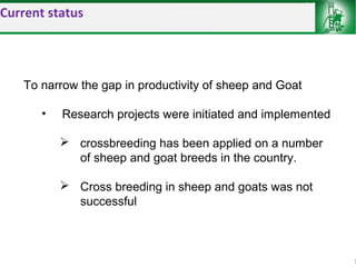 Sheep and goat improvement programs: Ethiopian experience 