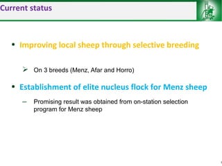 Sheep and goat improvement programs: Ethiopian experience 