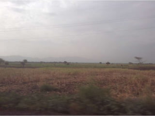 Climate change and sustainable intensification 