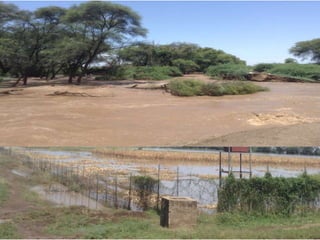 Climate change and sustainable intensification 