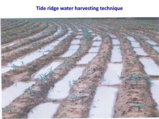 Climate change and sustainable intensification 