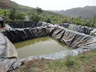 Climate change and sustainable intensification 